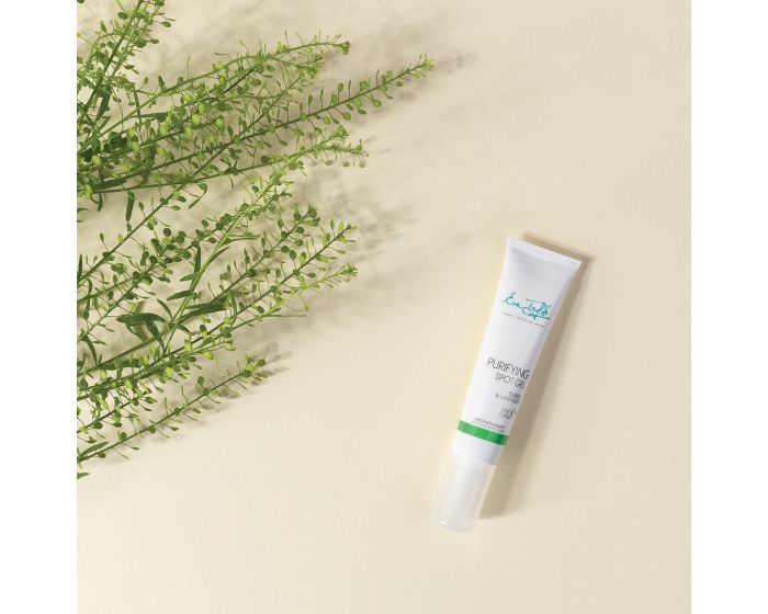 Eve Taylor purifying spot gel